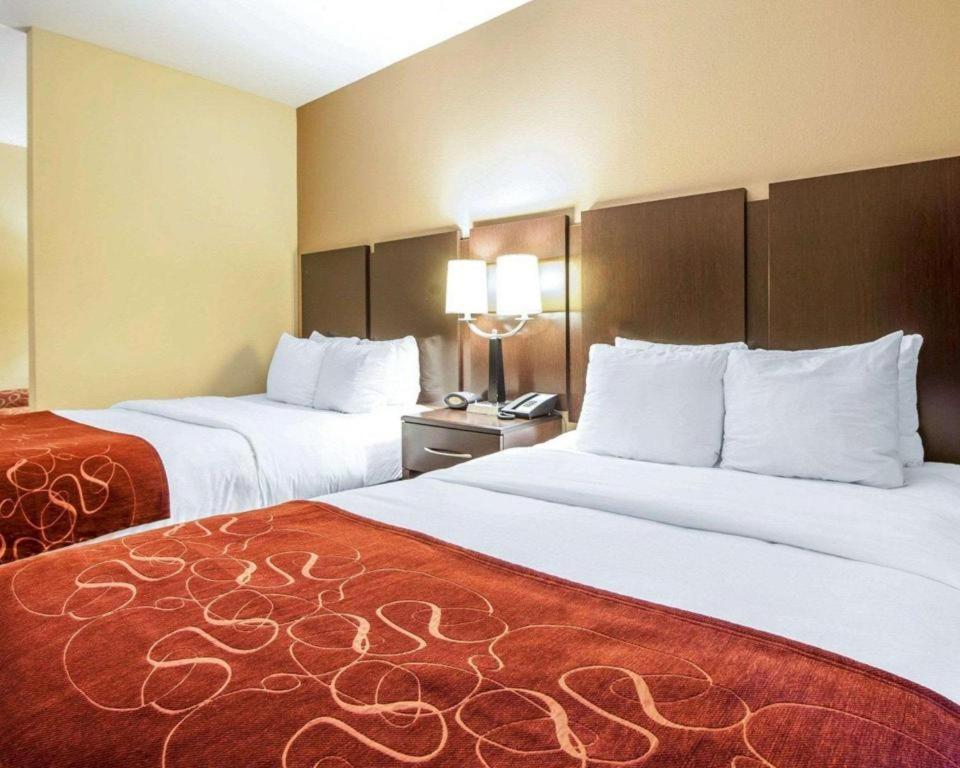 רומא Comfort Suites מראה חיצוני תמונה