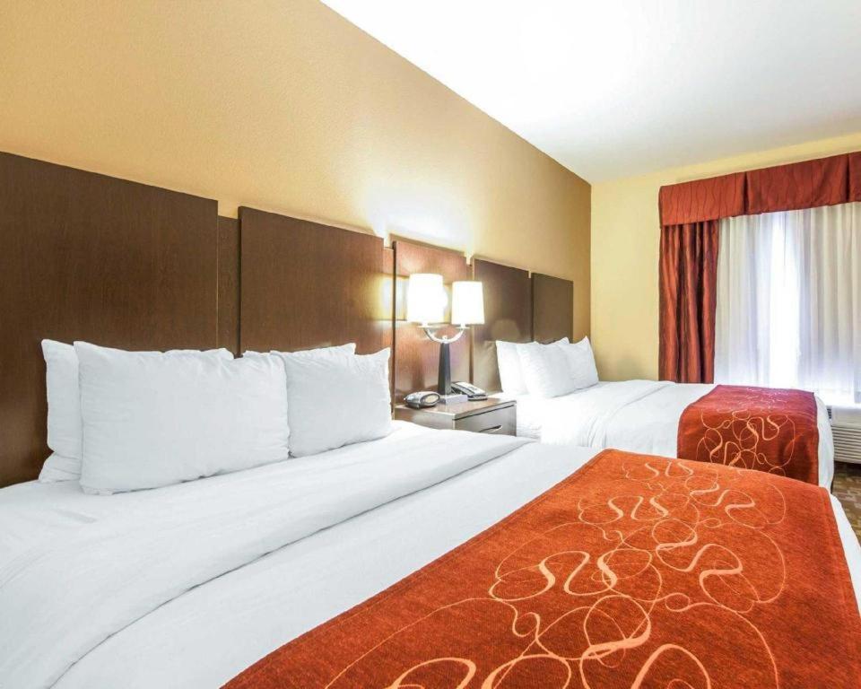רומא Comfort Suites מראה חיצוני תמונה