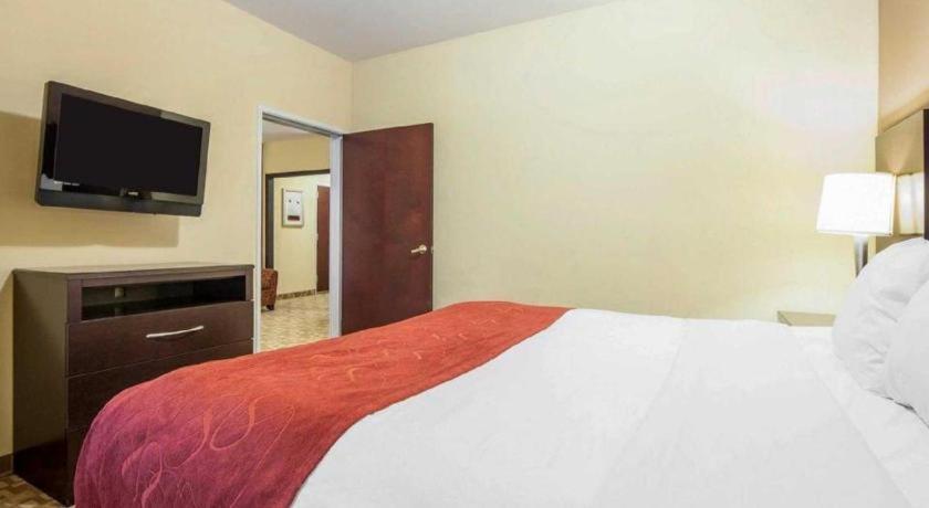רומא Comfort Suites מראה חיצוני תמונה