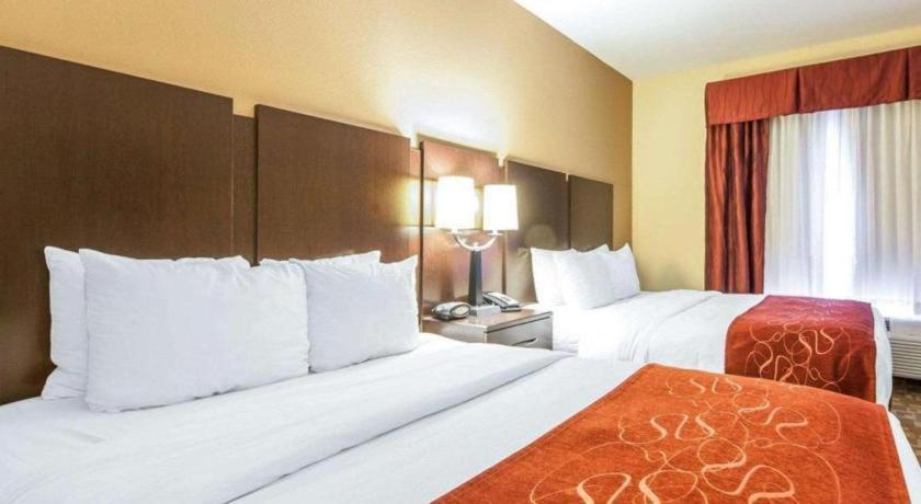 רומא Comfort Suites מראה חיצוני תמונה