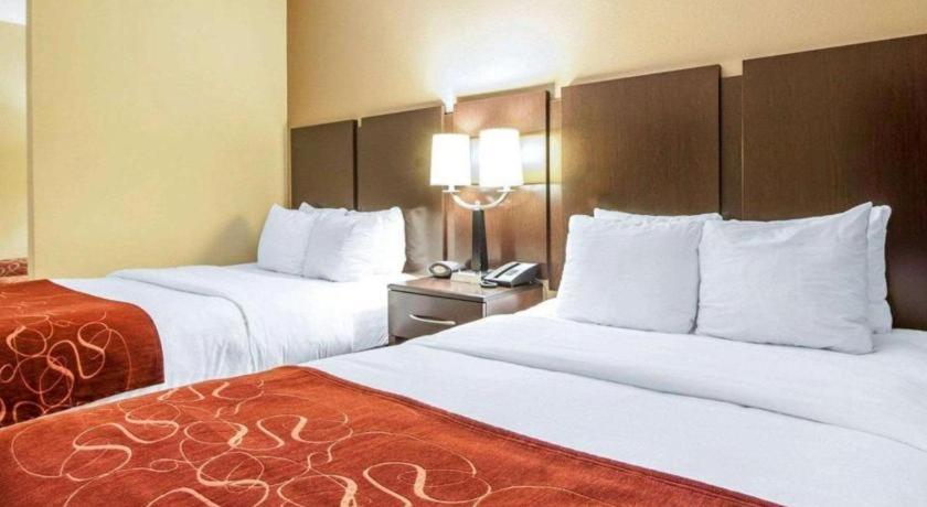 רומא Comfort Suites מראה חיצוני תמונה